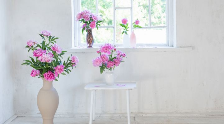 Ako vybrať vysoké vázy – ideálne do interiéru aj exteriéru