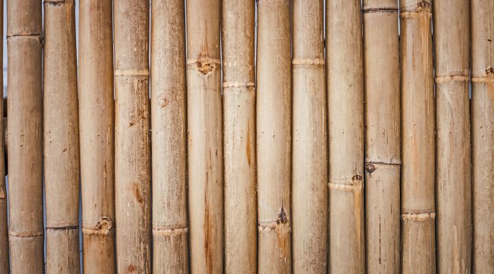 Bambusové doplnky do kuchyne – tieto chcete mať!